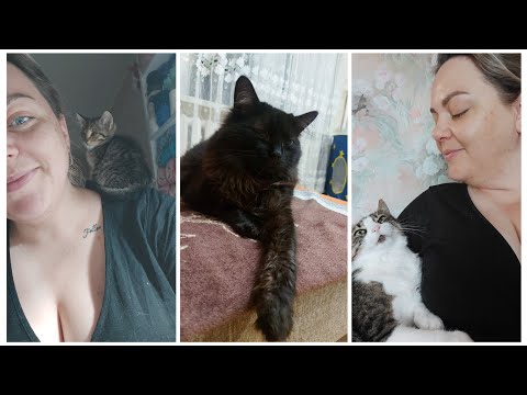 Видео: VLOG 506: АДАПТАЦИЯ?