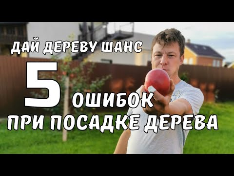 Видео: правильная посадка плодовых деревьев 5 ошибок при посадке деревьев и плодового сада