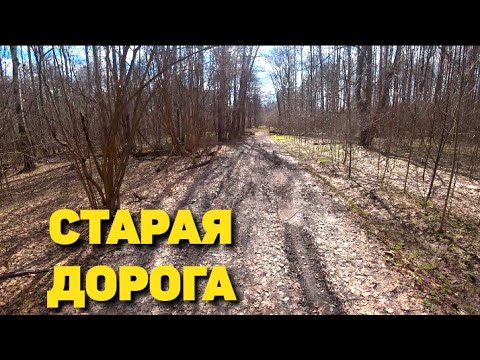 Видео: Проверил старую дорогу в лесу и не прогадал. Копаю чермет по краям дороги