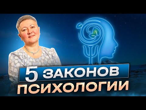 Видео: Пять законов психологии