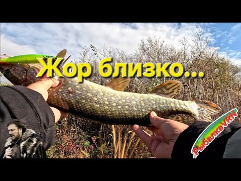 Видео: Рыбалка на спиннинг в октябре 3
