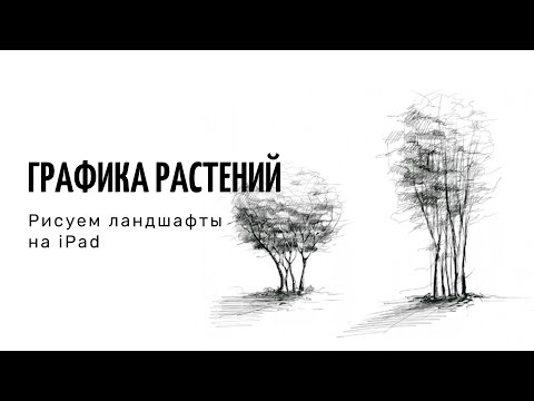 Видео: РИСУНОК НА IPAD В PROCREATE: КАК НАРИСОВАТЬ ДЕРЕВО НА IPAD / ландшафтный скетчинг