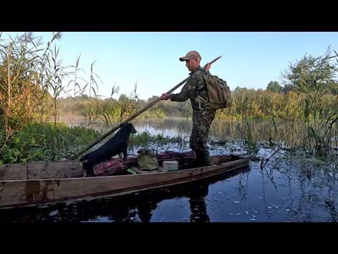 Видео: Спінінг і кружки на щуку Риболовля в зарослях Стоходу