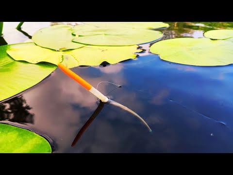 Видео: ЧОМУ Я РАНІШЕ ТАК НЕ ЗРОБИВ?! Це просто КАЙФ! 🎣 Рибалка.🐟 Ловля на Поплавок 💊