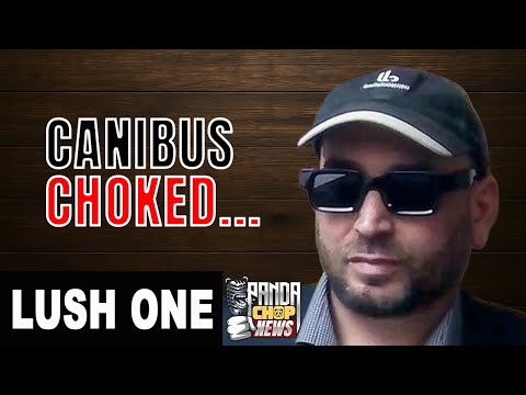 Видео: Lush One раскрывает, что на самом деле произошло в битве Канибуса и Дизастера! [Часть 9]