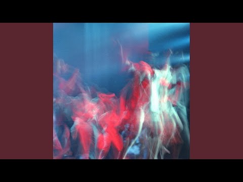 Видео: Коты