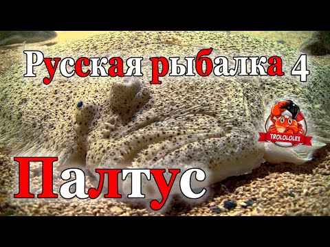 Видео: русская рыбалка 4 Гигаджиг на море  Охота на Палтуса