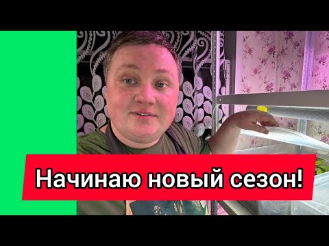 Видео: Петуния//Подготовка маточников, первое черенкование в этом году!🥰