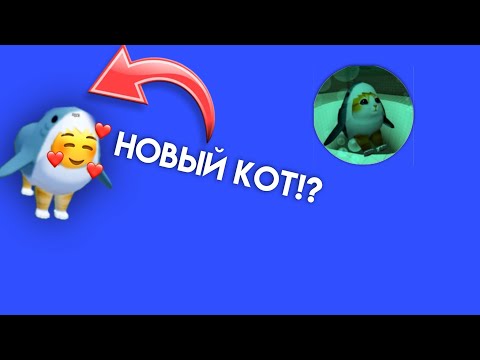 Видео: Тутор на получение нового кота в игре с котятами! | Roblox