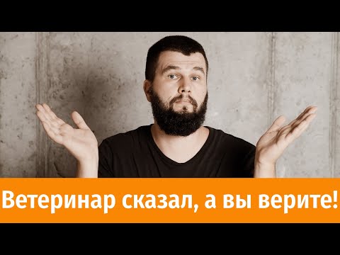 Видео: 10 страшилок ветеринаров, в которые вы верите