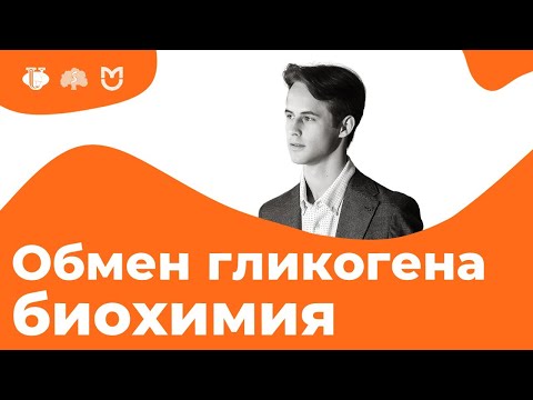 Видео: Распад и синтез гликогена в печени и мышцах. Гормональная регуляция. | На биохимическом
