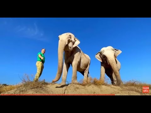 Видео: Я прячусь от Магды и Джени, но они меня нашли)))