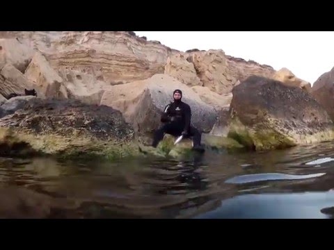 Видео: Подводная охота на акватории города