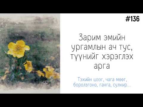 Видео: ЗӨВ ҮҮ? ТАВ УУ? #136. Зарим эмийн ургамлын ач тус түүнийг хэрэглэх арга