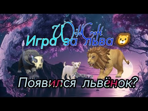 Видео: ||Играю за льва||Появился львёнок?🦁🤩😉•WildCraft Lion