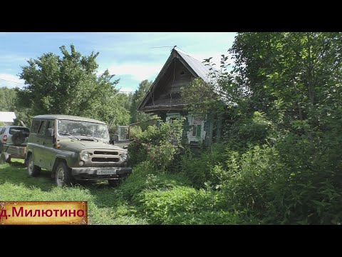 Видео: Не ожидал увидеть жизнь в заброшенной деревне. Деревня в лесах. Жизнь в опустевшей деревне.