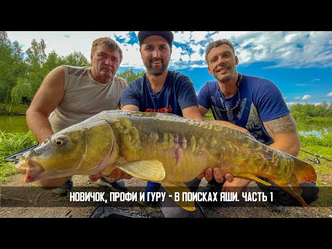 Видео: Как поймать трофейного карпа на флет фидер? Огромный карп не порвал леску! Рыбалка для души.
