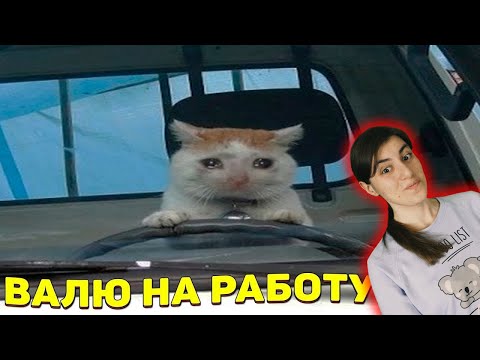 Видео: ЗАСМЕЯЛСЯ - ПОДПИСАЛСЯ!! ЛУЧШИЕ ПРИКОЛЫ 2020 ТЕСТ НА ПСИХИКУ УГАР! #289 - Реакция