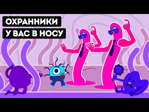 Видео: Как мы дышим 👃: занимательная анимация