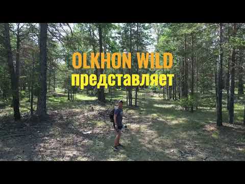 Видео: Прогулка к лисьей норе. Ольхон | Walking to the fox den. Olkhon island