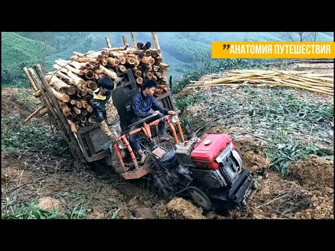 Видео: По уши в грязи побеждают физику. Суровые будни лесовозов Вьетнама