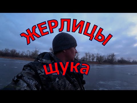 Видео: ЗИМНЯЯ РЫБАЛКА НА ЖЕРЛИЦЫ
