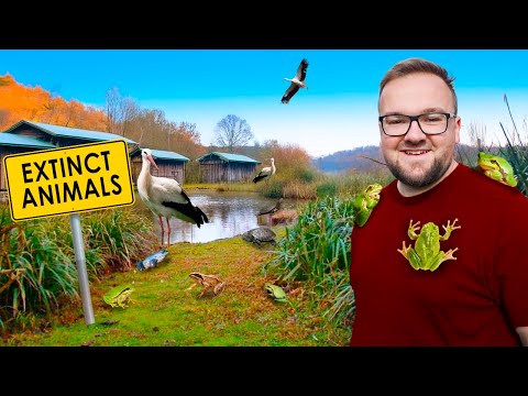 Видео: Частный тур по лучшему в Великобритании центру ревайлдинга