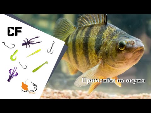 Видео: Окунь не устоит от этих приманок  Клёвая резина для ловли окуня на микроджиг от CF