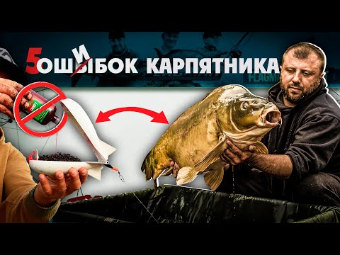 Видео: ГЛАВНЫЕ ОШИБКИ всех карпятников! Почему не клюет КАРП? Карпфишинг