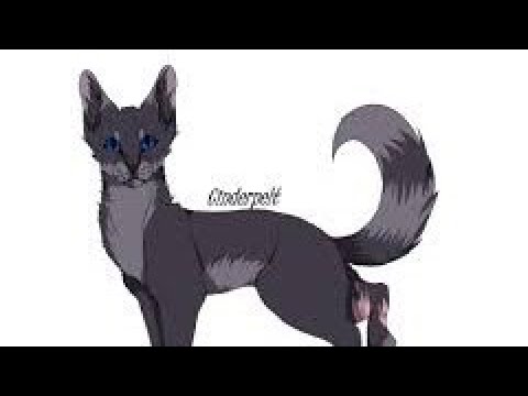 Видео: Пепелица - Коты Воители- Плакала (на русском)