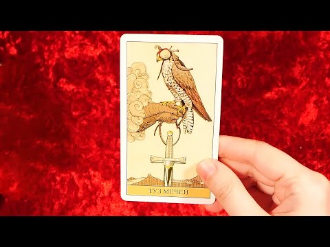 Видео: ЧТО ОН ДУМАЕТ О ВАС ПРЯМО СЕЙЧАС. 🙏