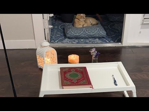 Видео: Daniella Дана Yussupbek is live!