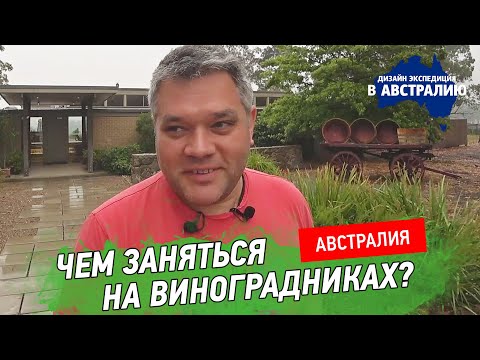 Видео: Виноградники Австралии. Природа, современное искусство и гастрономический ресторан
