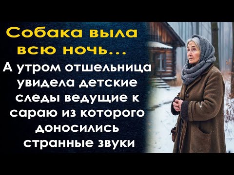 Видео: Собака выла всю ночь… А утром отшельница увидела детские следы, а пойдя по следу