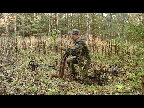 Видео: Металлопоиск в заброшенной деревне и на делянке 60-х годов #355