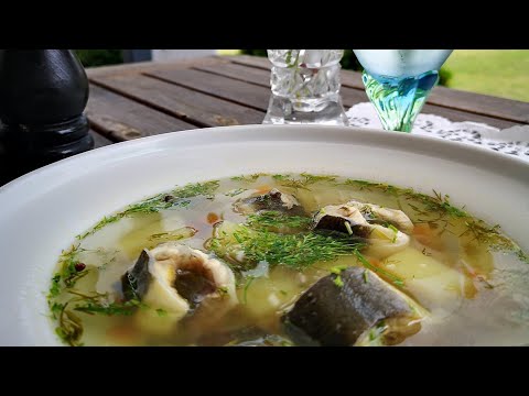 Видео: Лёгкий летний супчик. Уха из угря,.