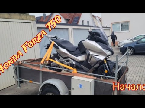 Видео: #Forza750 (покупка в Баварии)