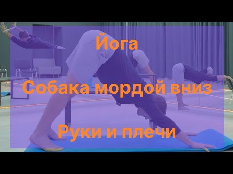 Видео: Собака мордой вниз. Всё о руках. Как не повредить шею? Ладони и пальцы. Лопатки. Вращение плечей.