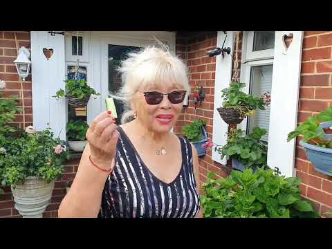Видео: 614. ДЕНЬ ЧЕТВЕРТЫЙ. ОБЗОР МЕСТНОСТИ И ВСТРЕЧАЕМ ГОСТЕЙ.