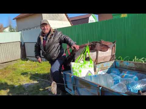 Видео: Съездили к сыну в гости на мотоблоке Ока. 👍