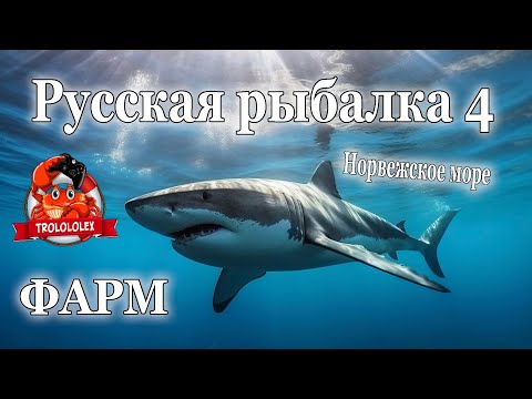 Видео: Русская рыбалка 4 Фарм на норвежском море Акула Трофейный окунь Конгер Каменный окунь