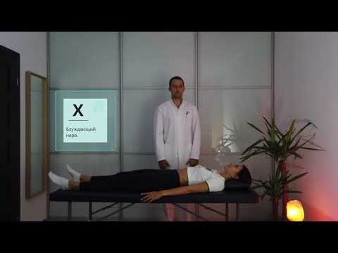 Видео: Быстрый тест и восстановление черепно-мозговых нервов