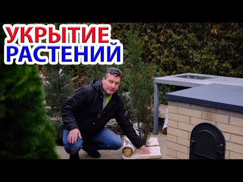 Видео: Укрытие растений с использованием современных технологий и пенопласта