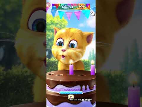 Видео: Говорящий Кот жынжыр.