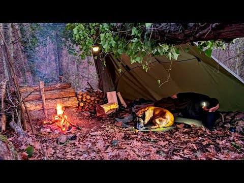 Видео: Зимний кемпинг в аварийном приюте для бушкрафта - приготовление пищи на костре