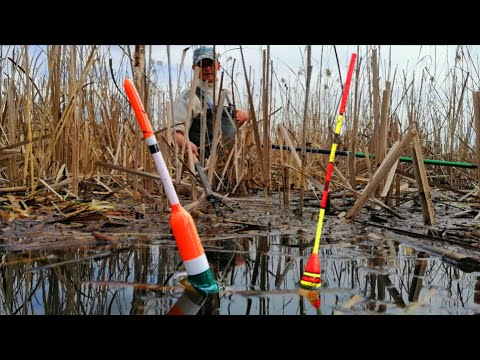 Видео: ДОЧЕКАВСЯ!!! КРУПНІ ВЕСНЯНІ КАРАСІ НА ПОПЛАВОК