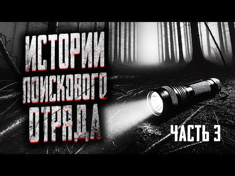 Видео: РАССКАЗЫ БЫВАЛЫХ ПОИСКОВИКОВ! | ЧАСТЬ 3 | Страшные истории на ночь. Мистика. Страшилки на ночь.
