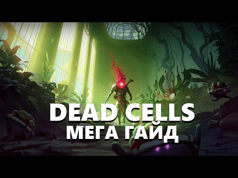 Видео: ГАЙД НА ВСЕ - DEAD CELLS