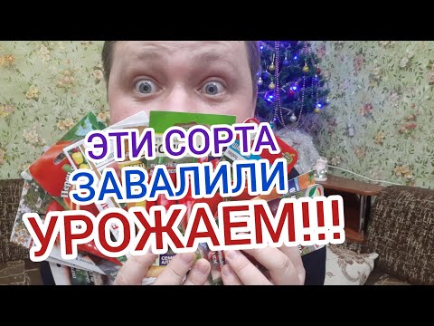 Видео: САМЫЕ УРОЖАЙНЫЕ СОРТА ПЕРЦА!!!🌱🌶