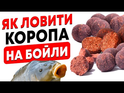 Видео: Все про БОЙЛИ! Карпфішинг для ПОЧАТКІВЦІВ! Рибалка 2023!